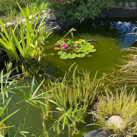 Holiday home De Jean-benoit Le Passage (Lot-et-Garonne)